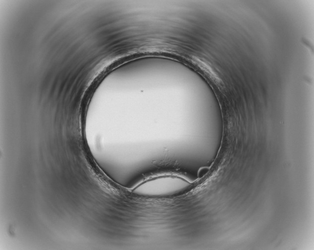 X0000095880934200802011041