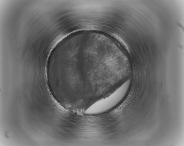 X0000095880935200802011041