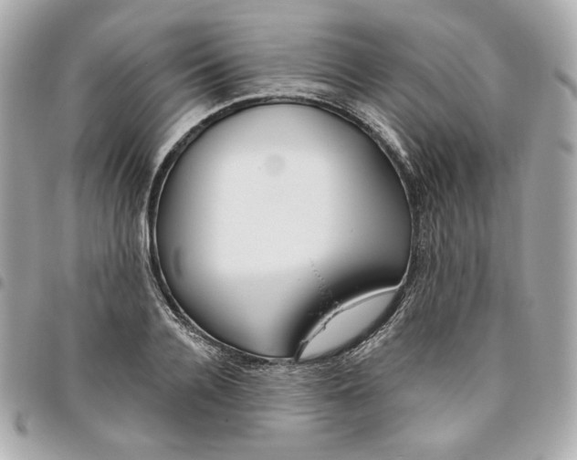 X0000095880936200802011041