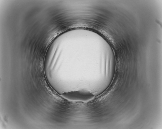 X0000095880937200802011041