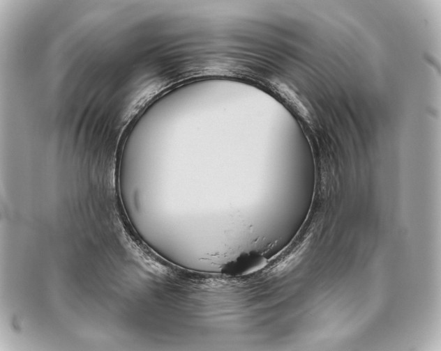 X0000095880938200802011041