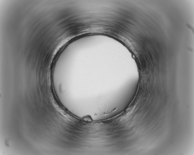 X0000095880939200802011041