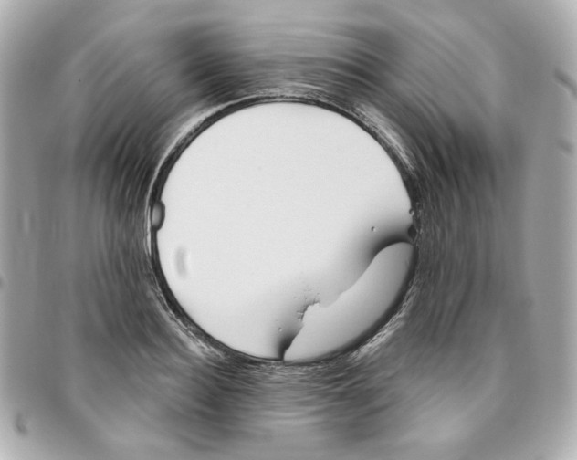 X0000095880940200802011041