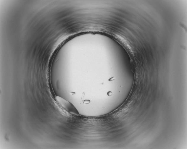 X0000095880942200802011041