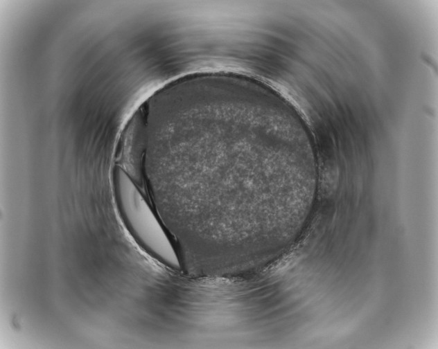 X0000095880943200802011041