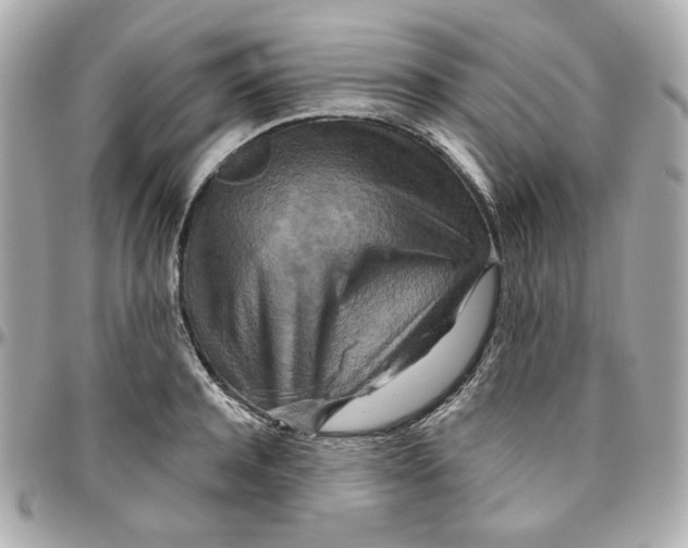 X0000095880944200802011041