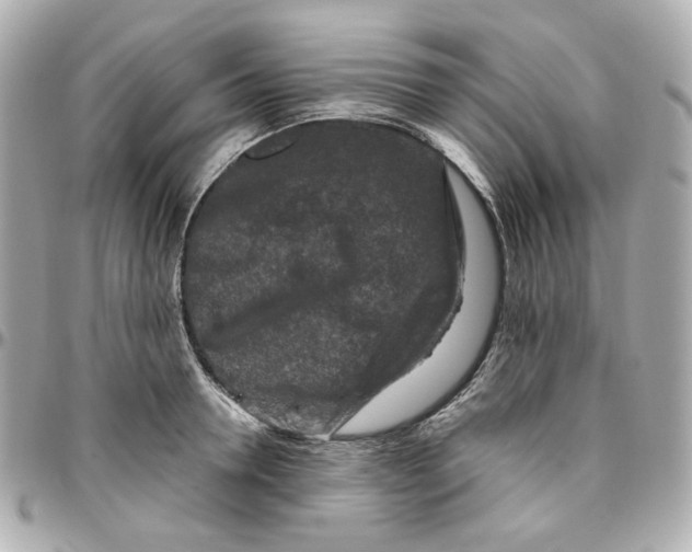 X0000095880946200802011041