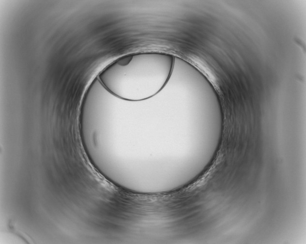 X0000095880948200802011041