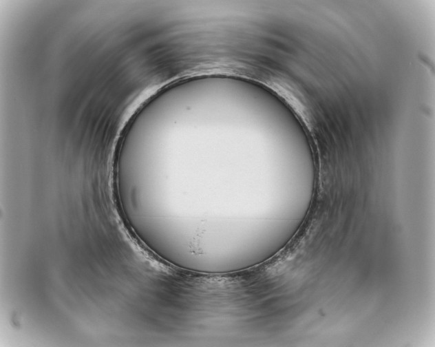 X0000095880949200802011041