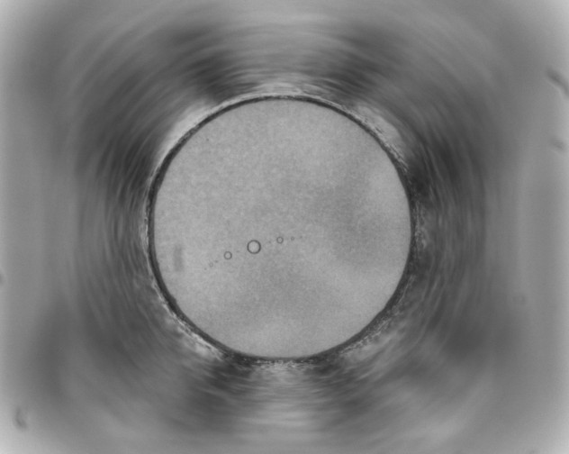 X0000095880950200802011041