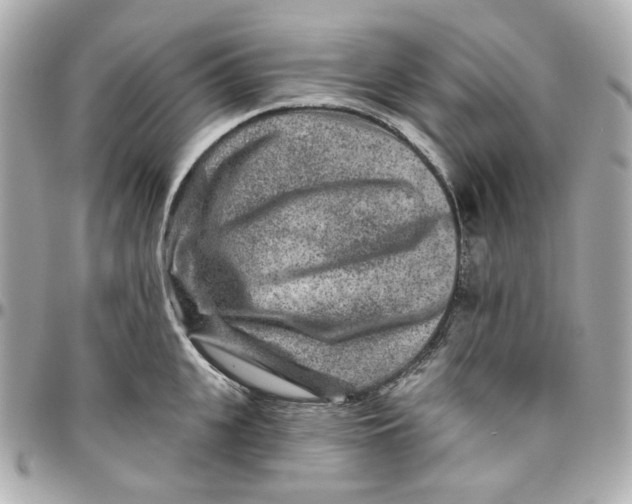 X0000095880951200802011041