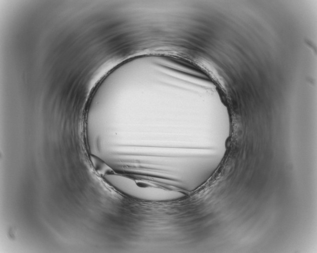 X0000095880952200802011041