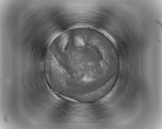 X0000095880953200802011041