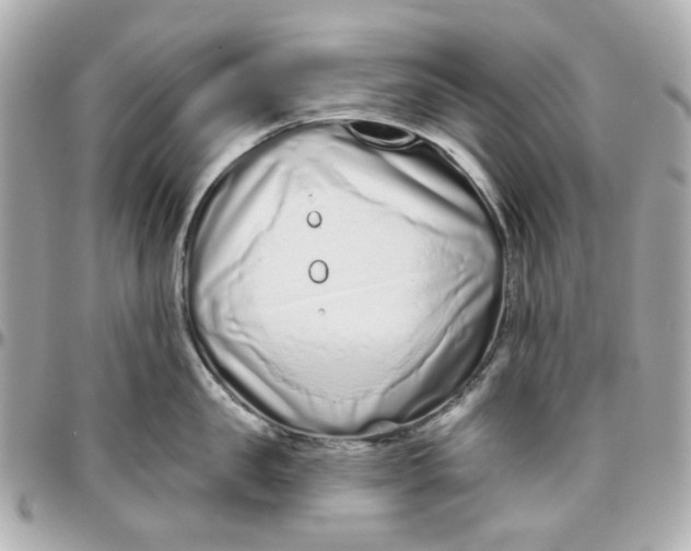 X0000095880957200802011041