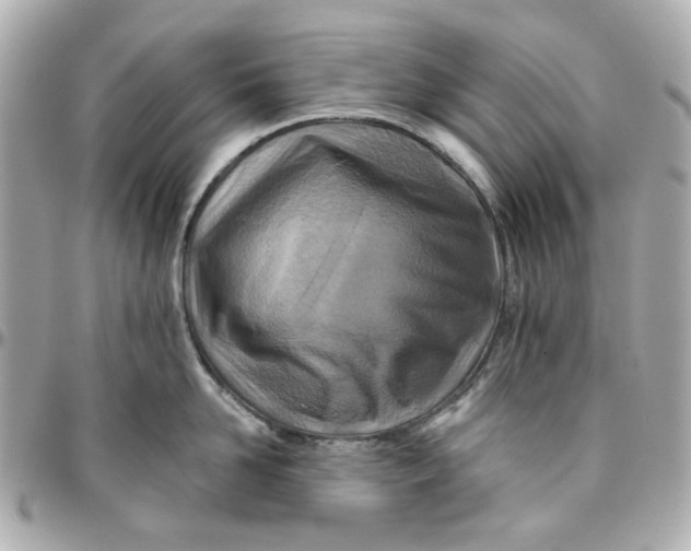 X0000095880958200802011041