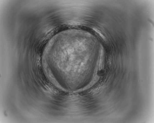 X0000095880964200802011040