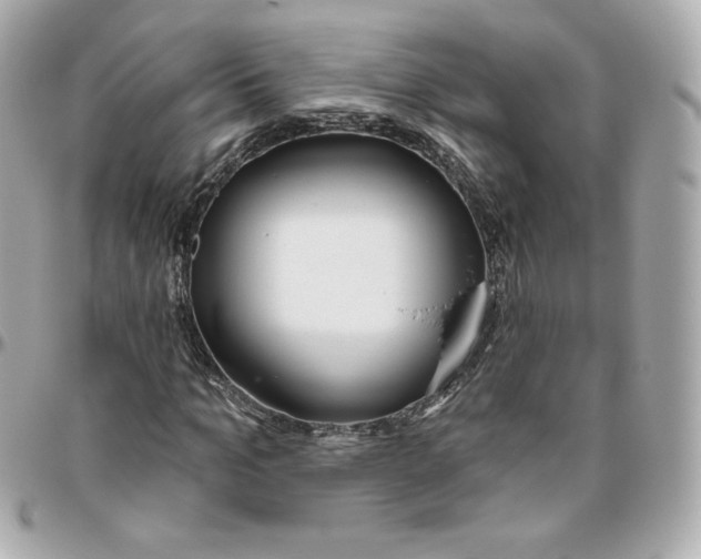 X0000095880965200802011040