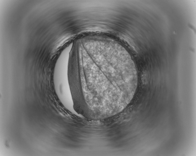 X0000095880968200802011040