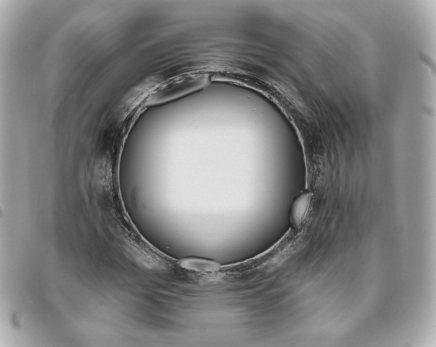 X0000095880969200802011040