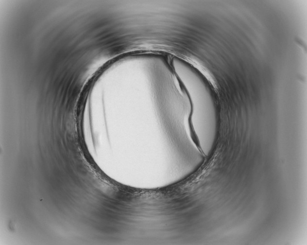 X0000095880972200802011040