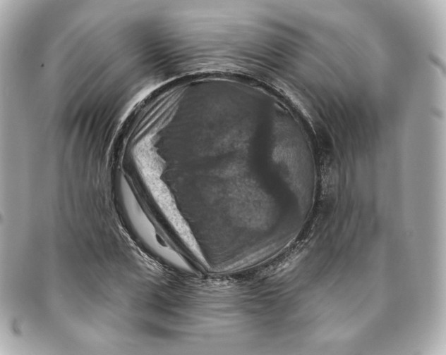 X0000095880975200802011040