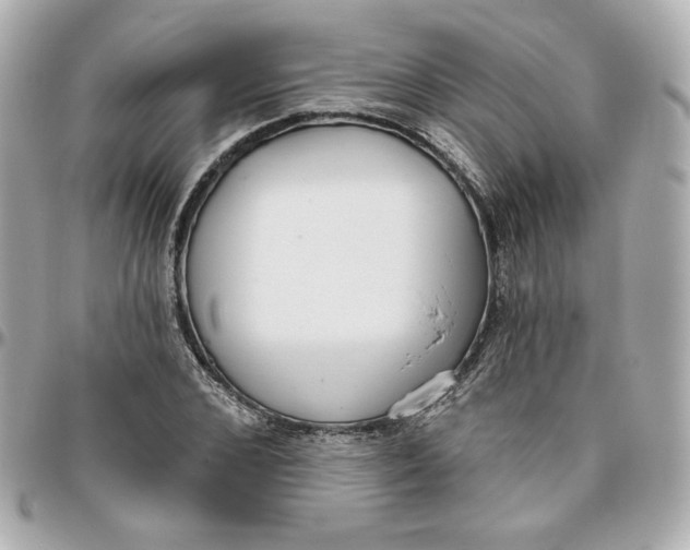 X0000095880976200802011040