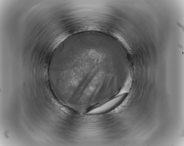 X0000095880977200802011040