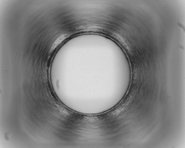 X0000095880978200802011040