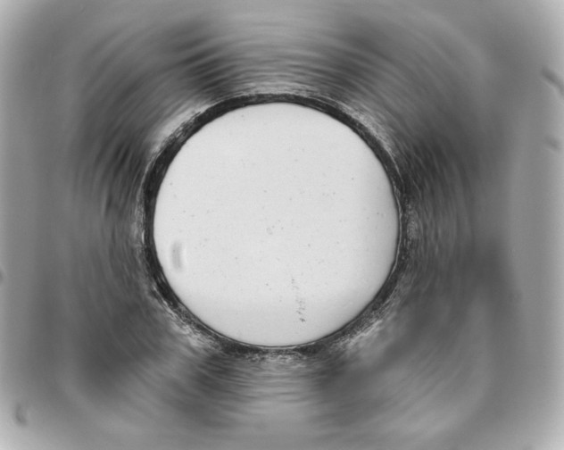 X0000095880979200802011040