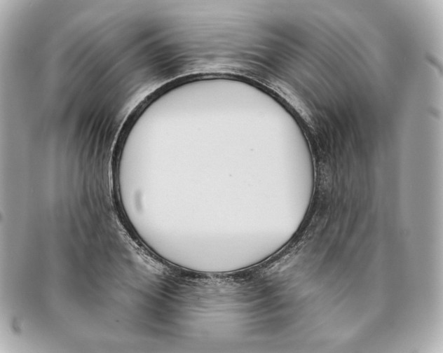 X0000095880980200802011040