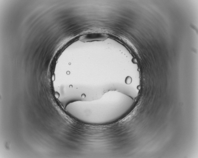 X0000095880981200802011040