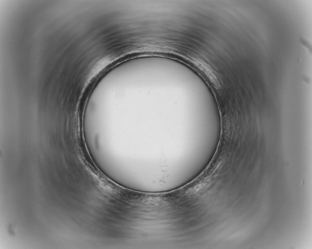 X0000095880982200802011040