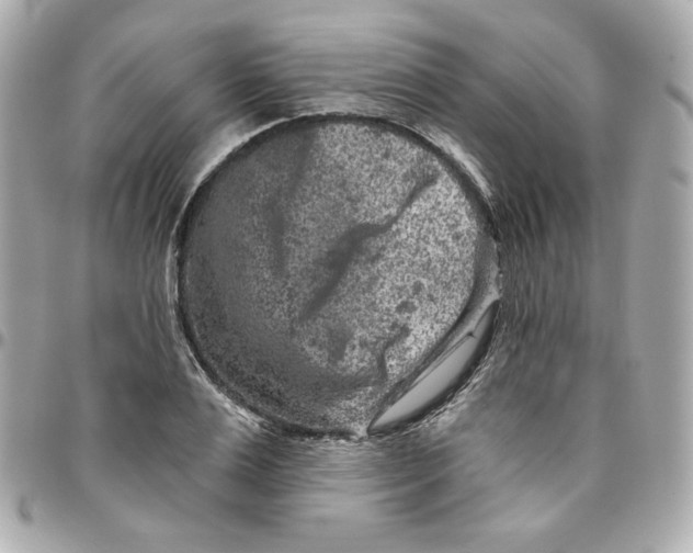 X0000095880983200802011040