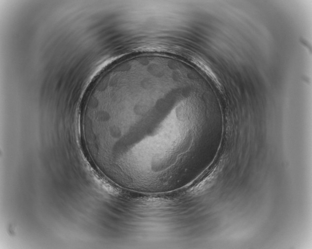 X0000095880984200802011040