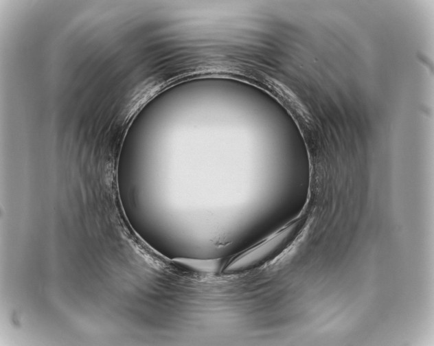 X0000095880985200802011040