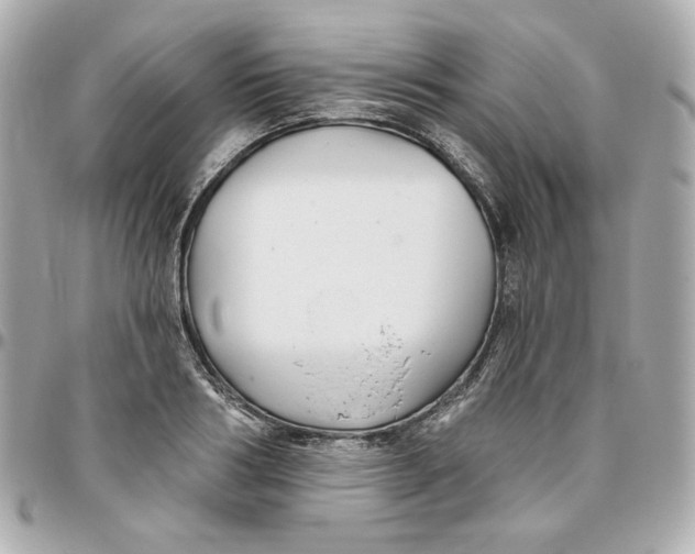 X0000095880986200802011040