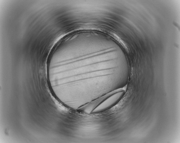 X0000095880988200802011040