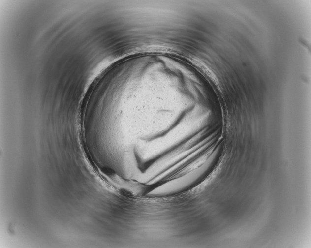 X0000095880989200802011040