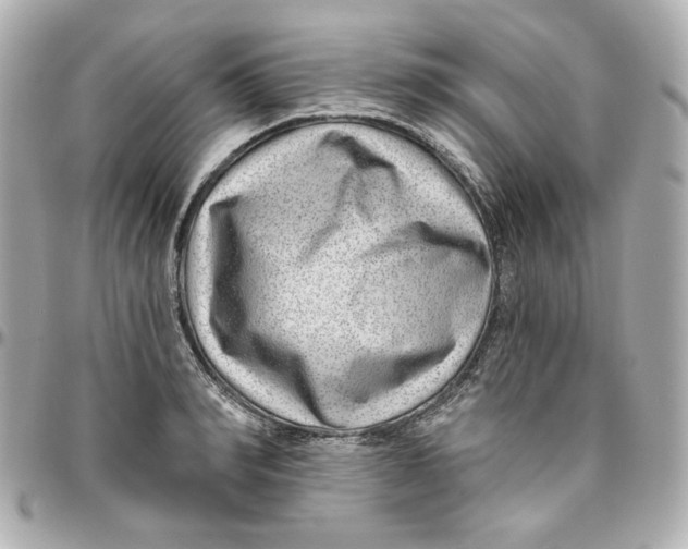 X0000095880990200802011040