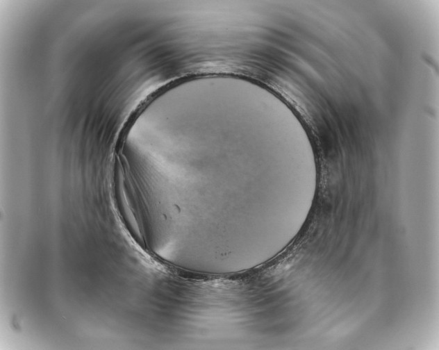 X0000095880992200802011040