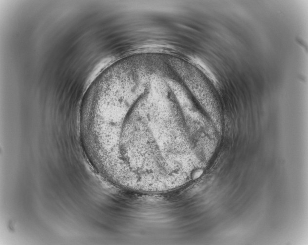 X0000095880994200802011040