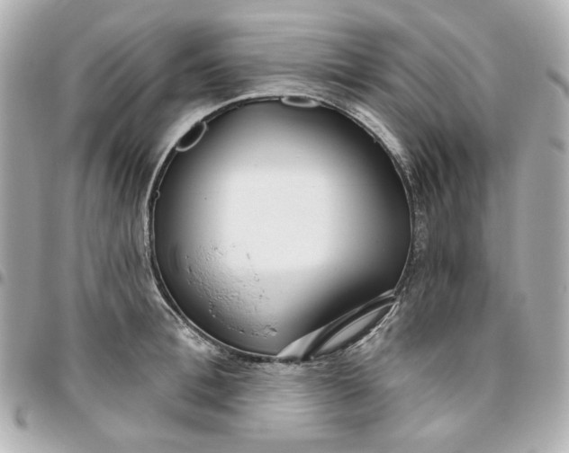 X0000095880996200802011040