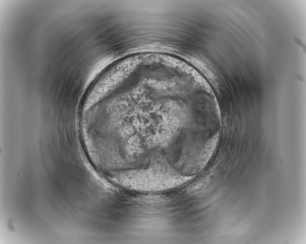 X0000095880998200802011040