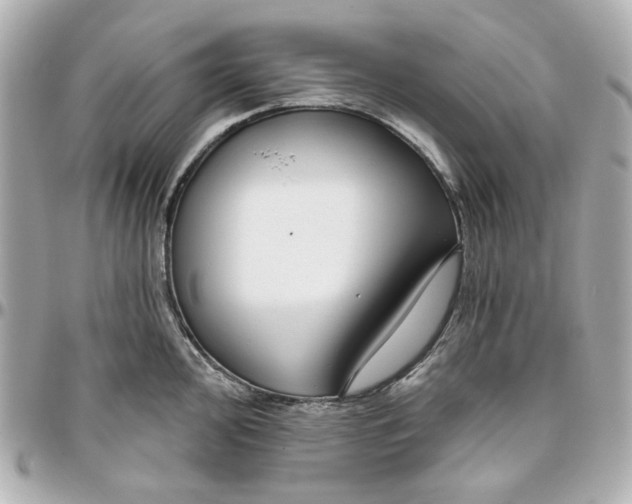 X0000095881000200802011040