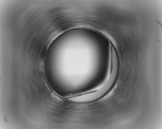 X0000095881001200802011039