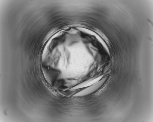 X0000095881002200802011039