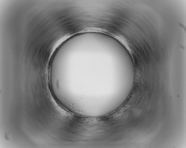 X0000095881003200802011039