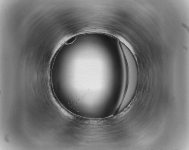 X0000095881005200802011039