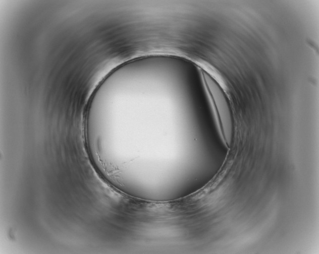 X0000095881006200802011039