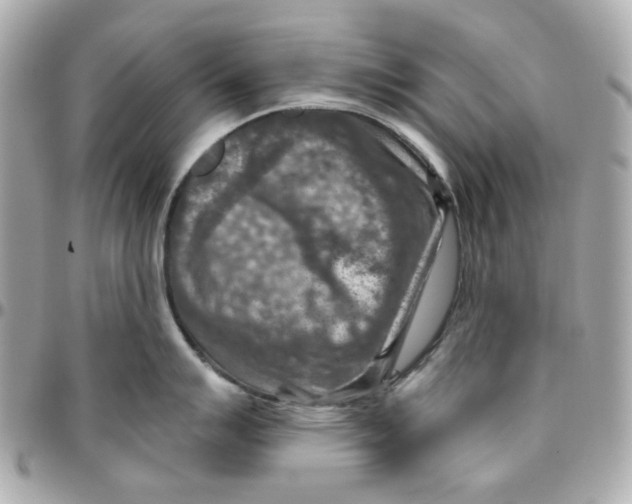 X0000095881007200802011039